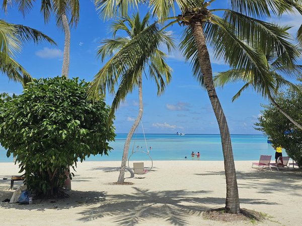 Les meilleures jumelles : guide d'achat pour vos besoins essentiels